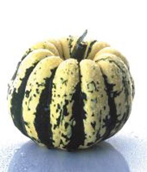 Courge Patidou De France Par 500g